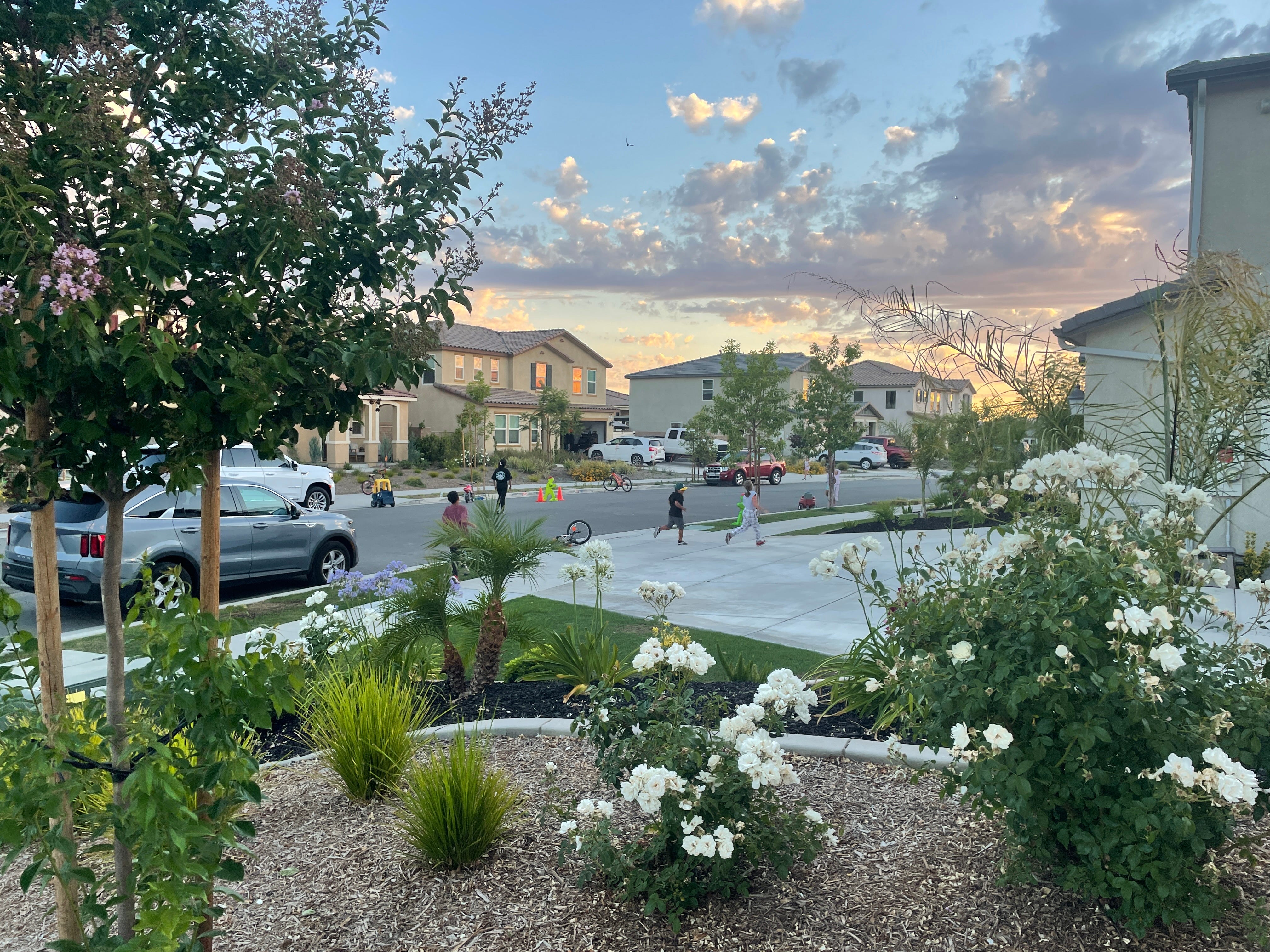 kids playing in suburbs
