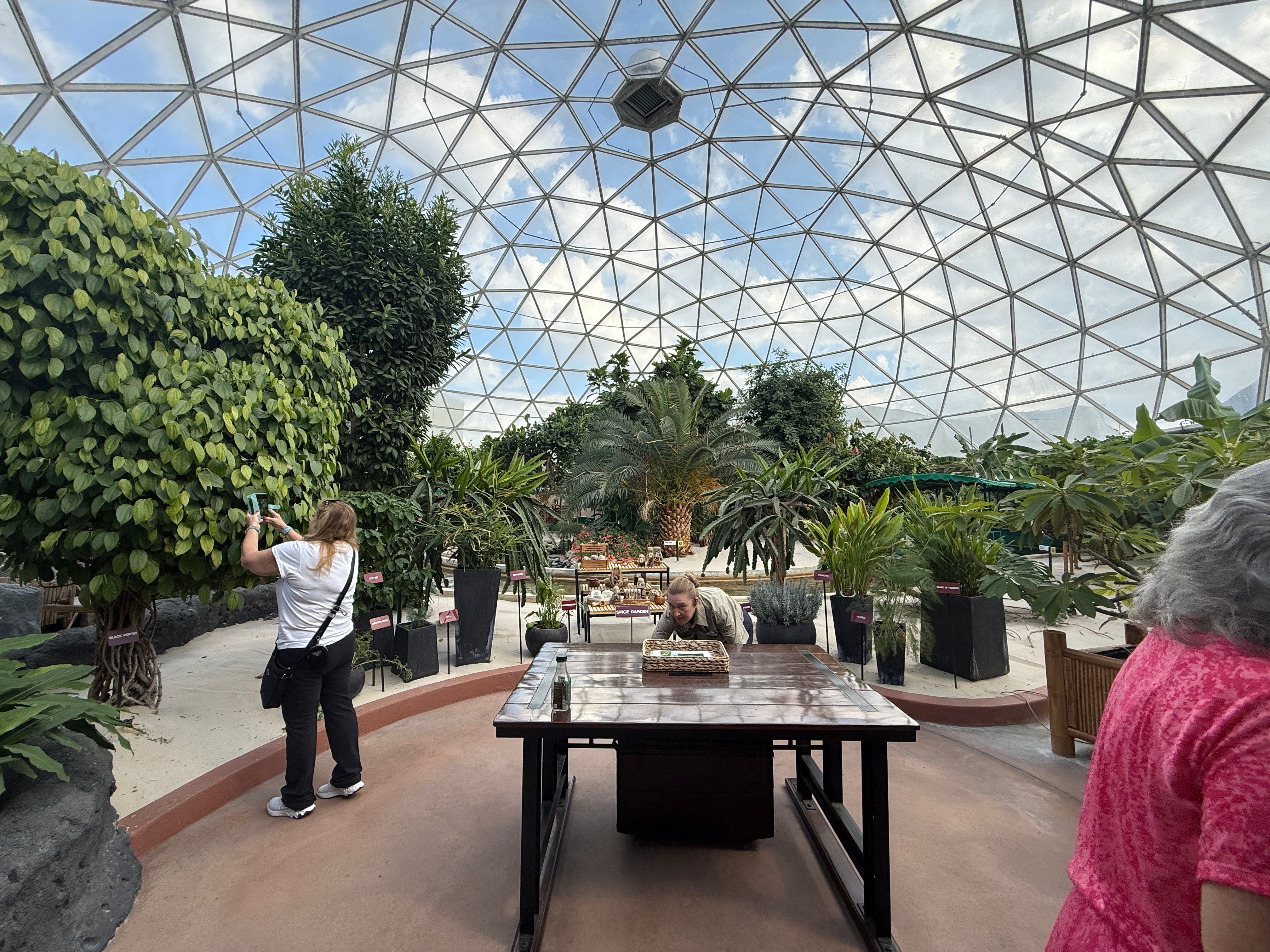 Plants beneath glass dome