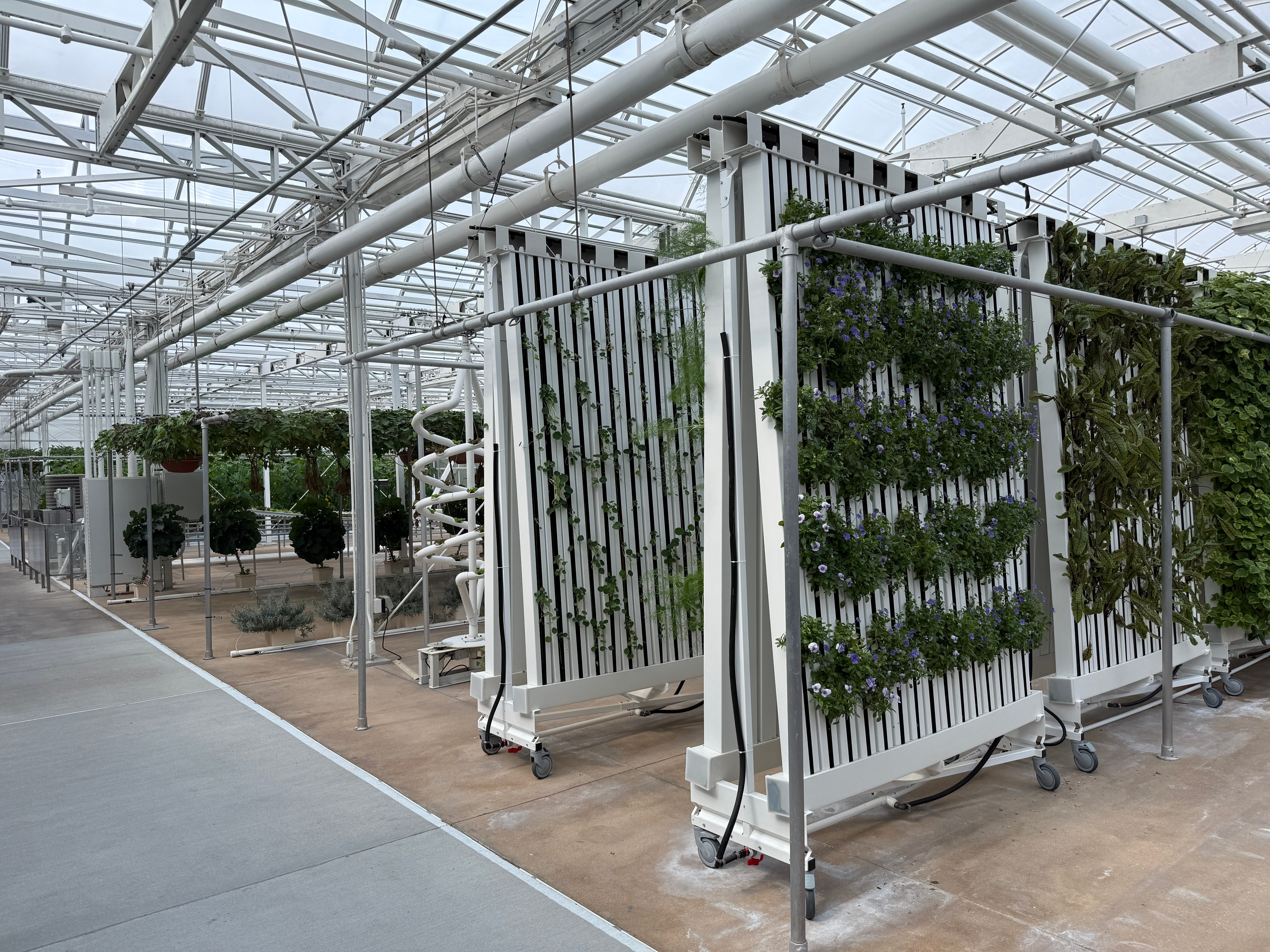 Shelves with plants