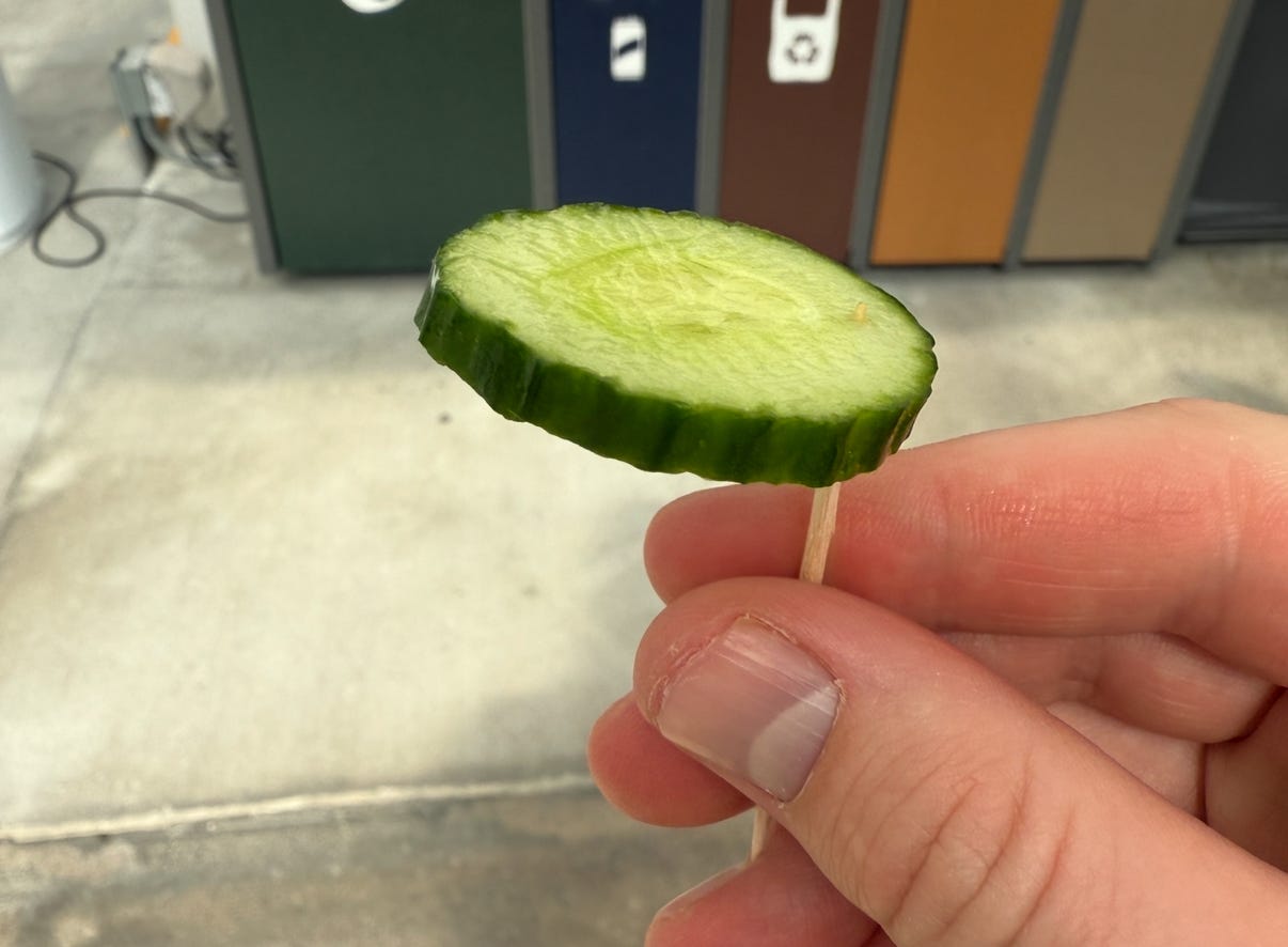Cucumber on a toothpick in someone's hand