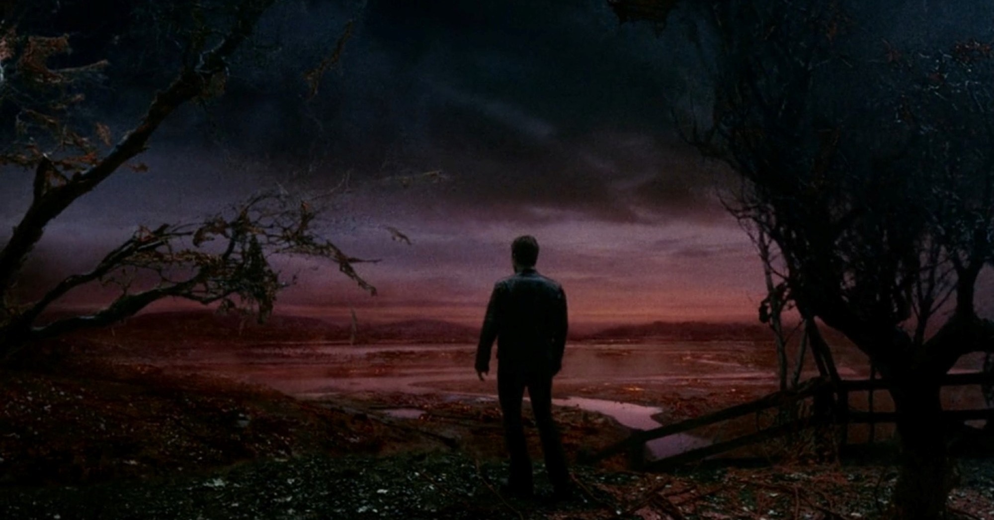 A wide landscape shot turns blood red as Ray, played by Tom Cruise, looks over a field of alien vegetation in the 2005 film War of the Worlds.