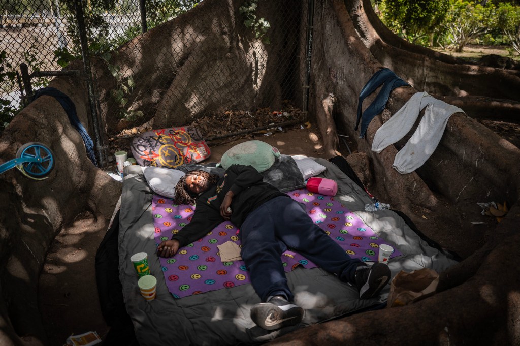 A homeless man named Demontreal sleeps under a tree in Santa Monica. He said he has family in New Orleans and would like to reach them.