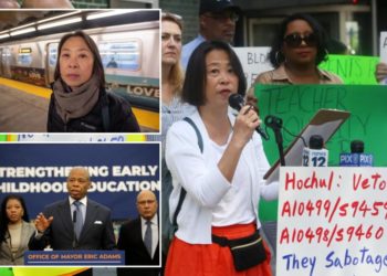 NY scraps race-based STEM program after Asians claim discrimination: ‘Progress!’