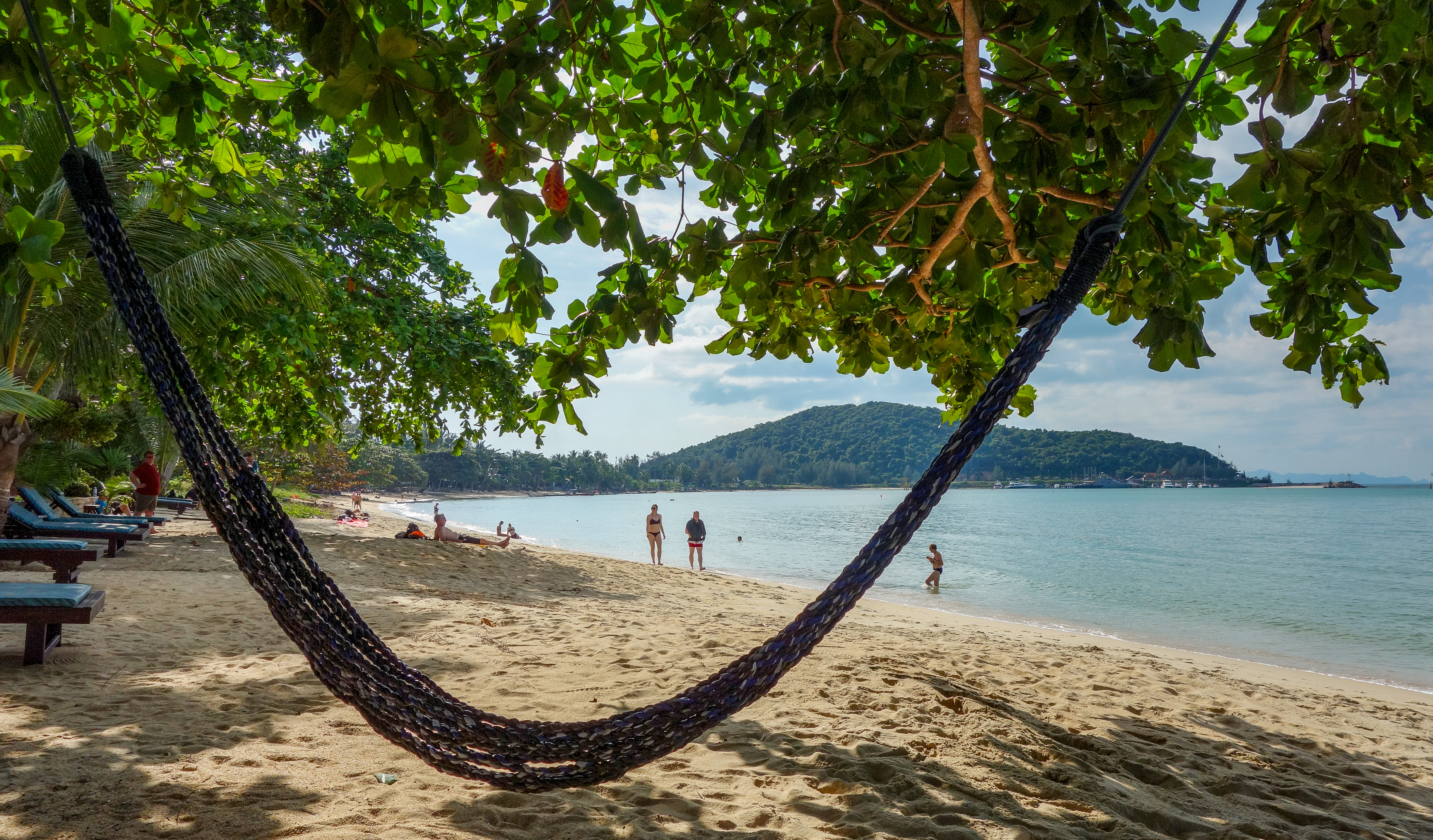 hammock