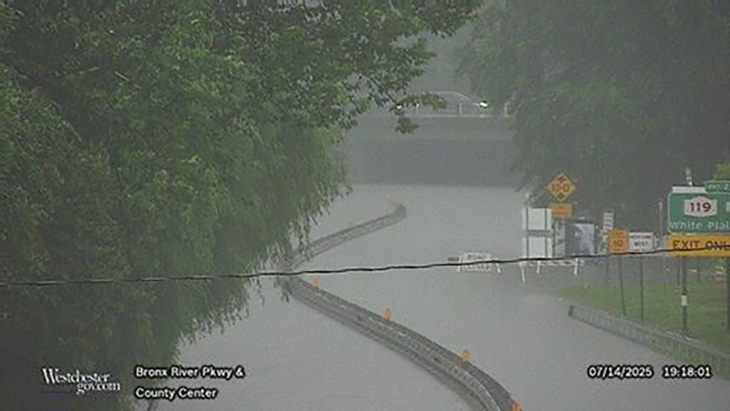 Flooded Bronx River Parkway near County Center.