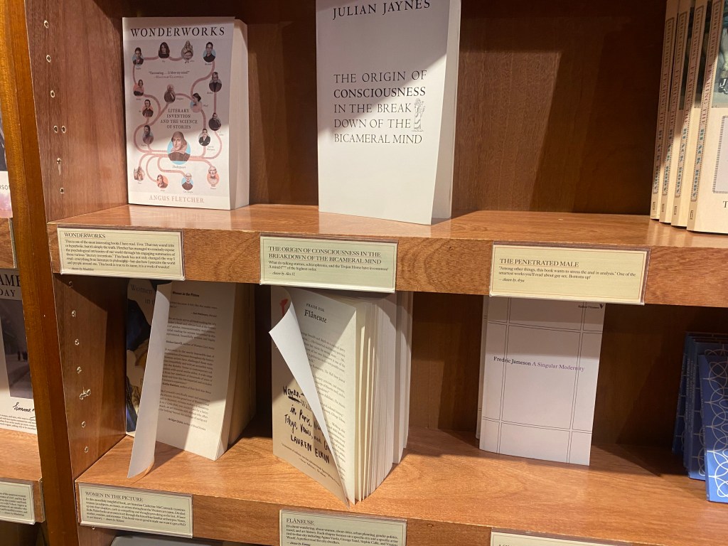 Book covers and shelf displays at a bookstore.