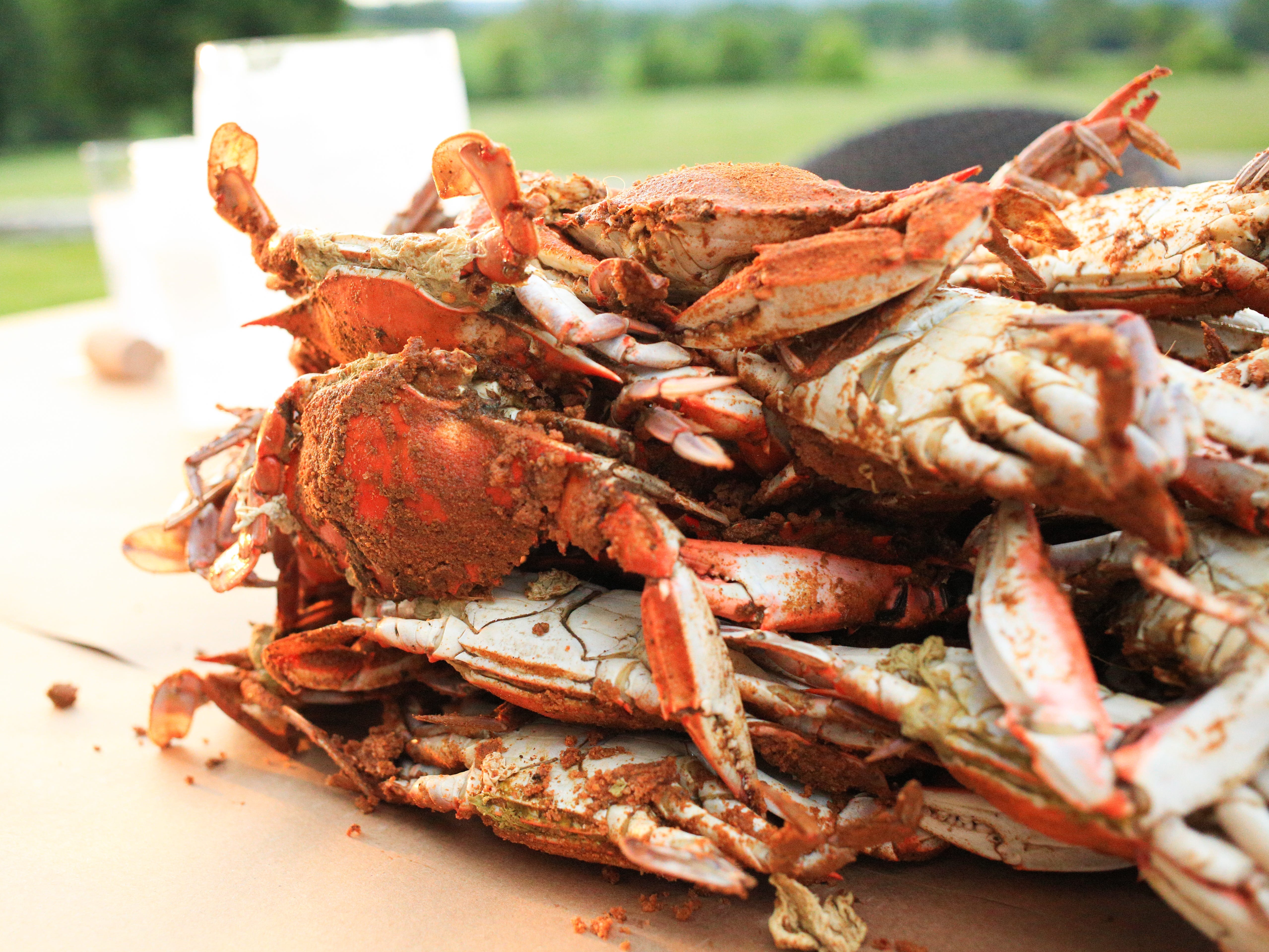 crabs stacked on top of each other