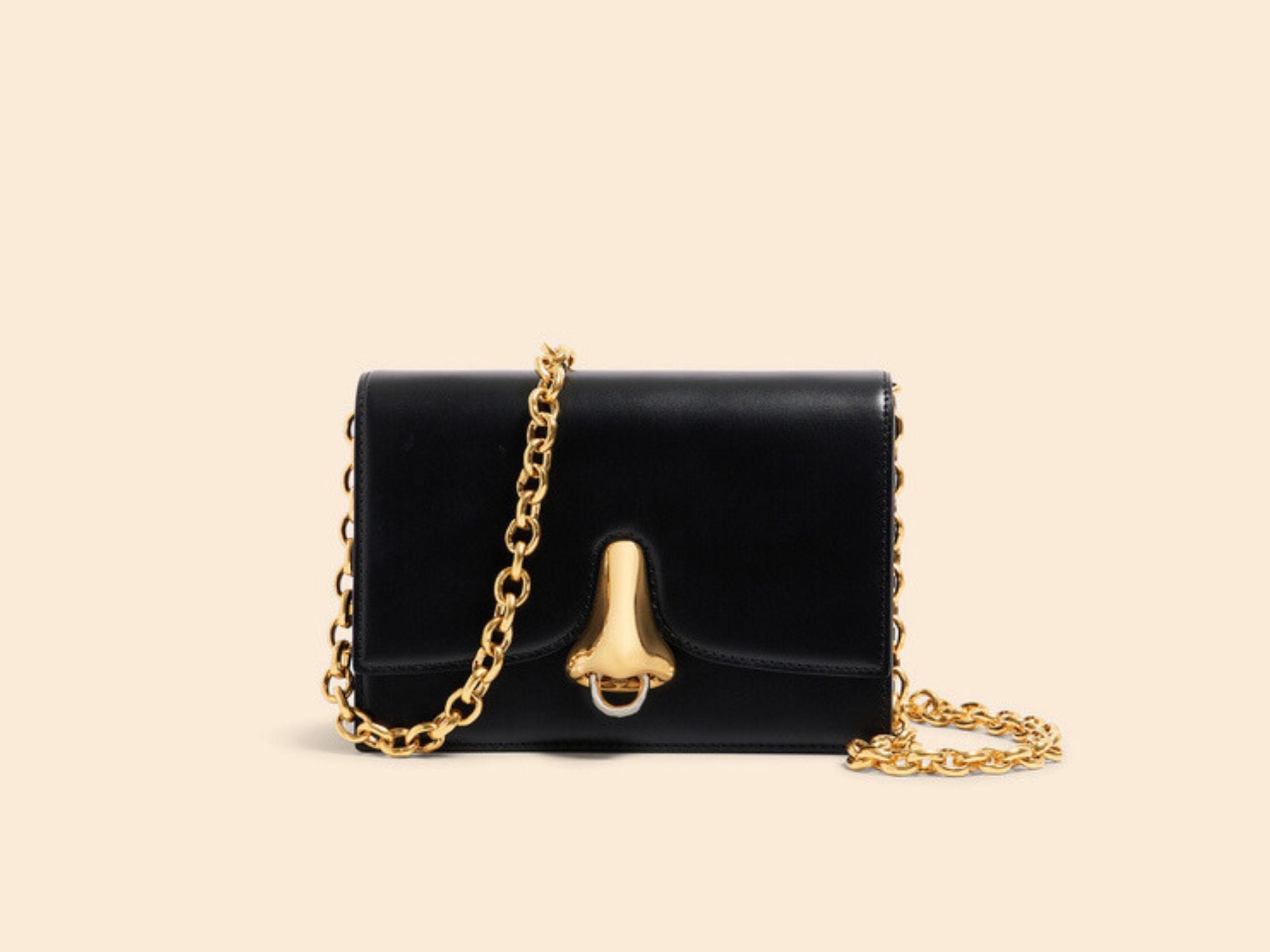 The Mini Nose bag from Schiaparelli.