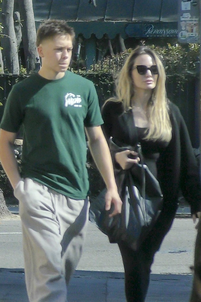  Angelina Jolie celebrates her son Knox's birthday in Los Feliz. F