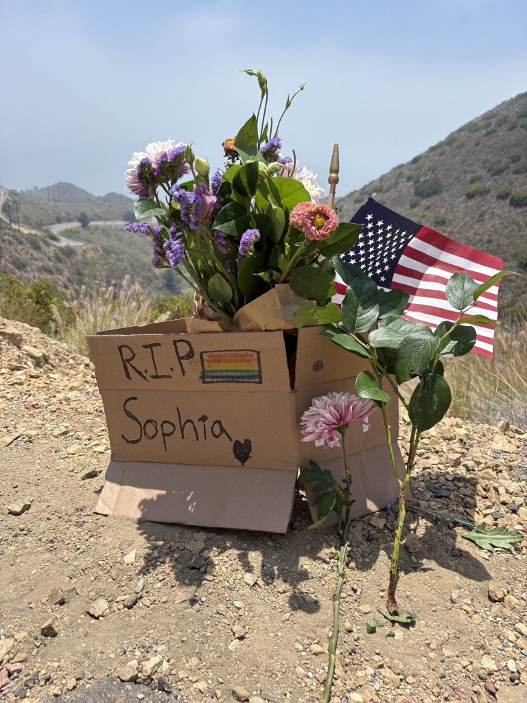 Memorial for Sophia Hutchins at the ravine where she died