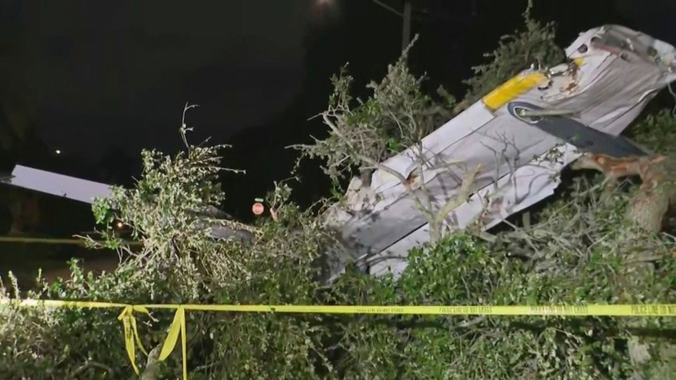 Wreckage of a small plane in trees after a crash.