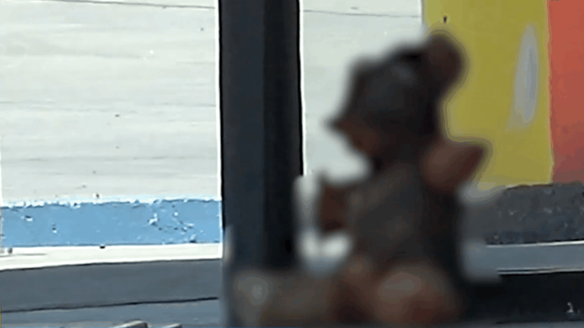 ‘Human Skin’ Teddy Bear Caused a Panic at a California Gas Station