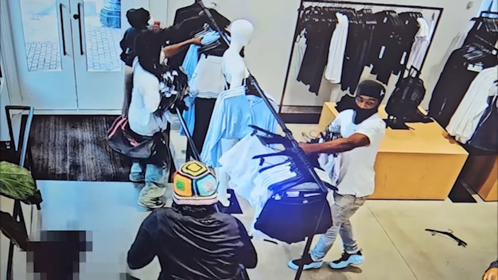 Six suspects entered an Alo store in DC’s Georgetown neighborhood at around 7:30 p.m. on June 30, the Metropolitan Police Department said.