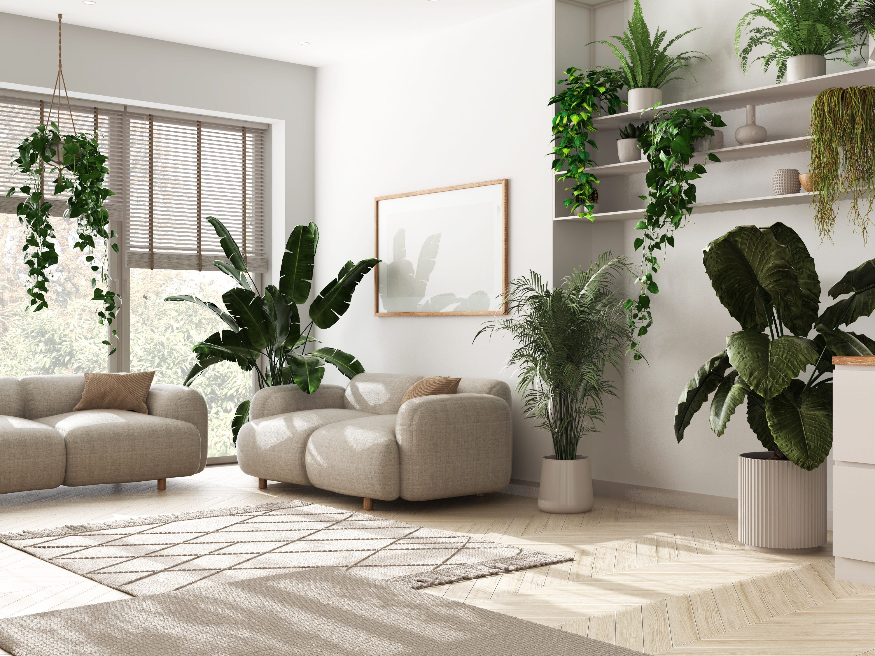 A white living room filled with plants.