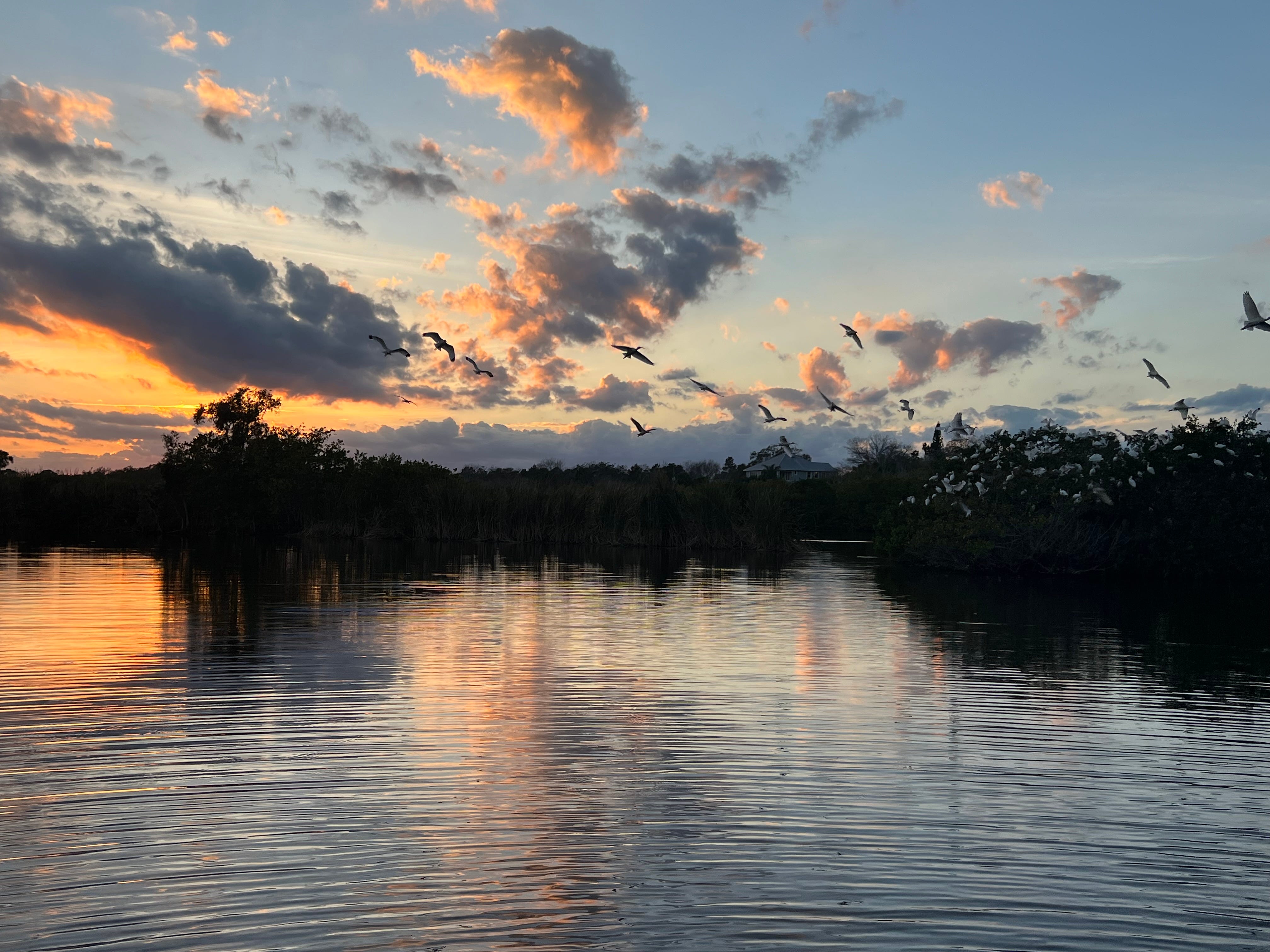 Birds flying over a lake during sunset.