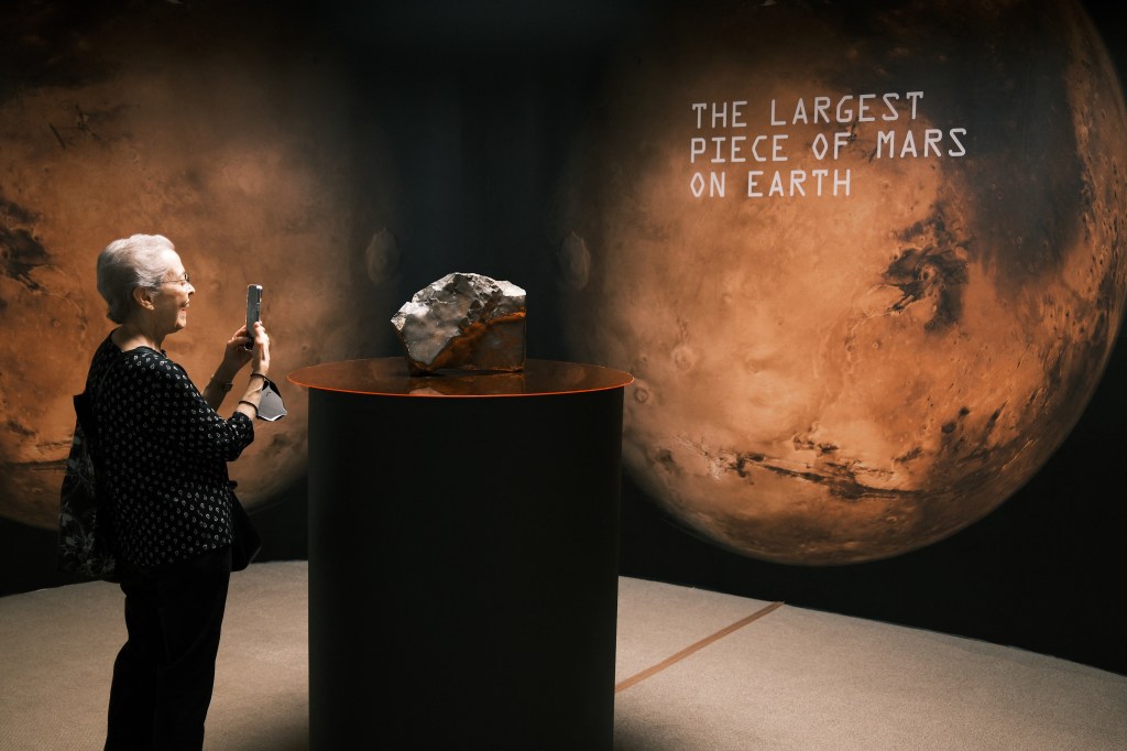 biggest martian meteorite in auction