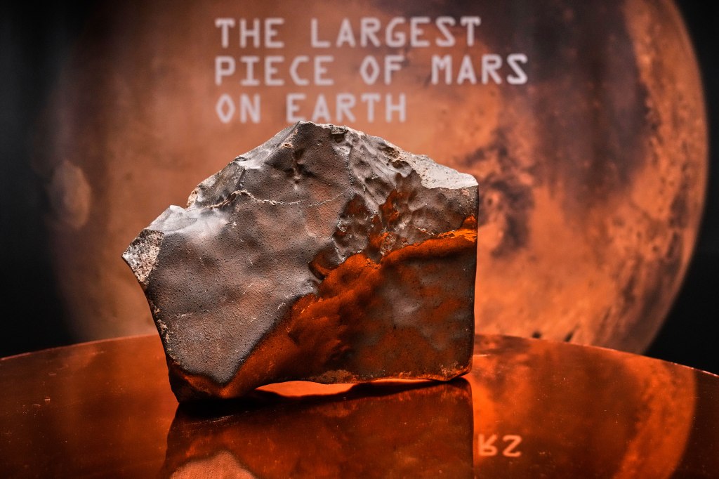 biggest martian meteorite in history