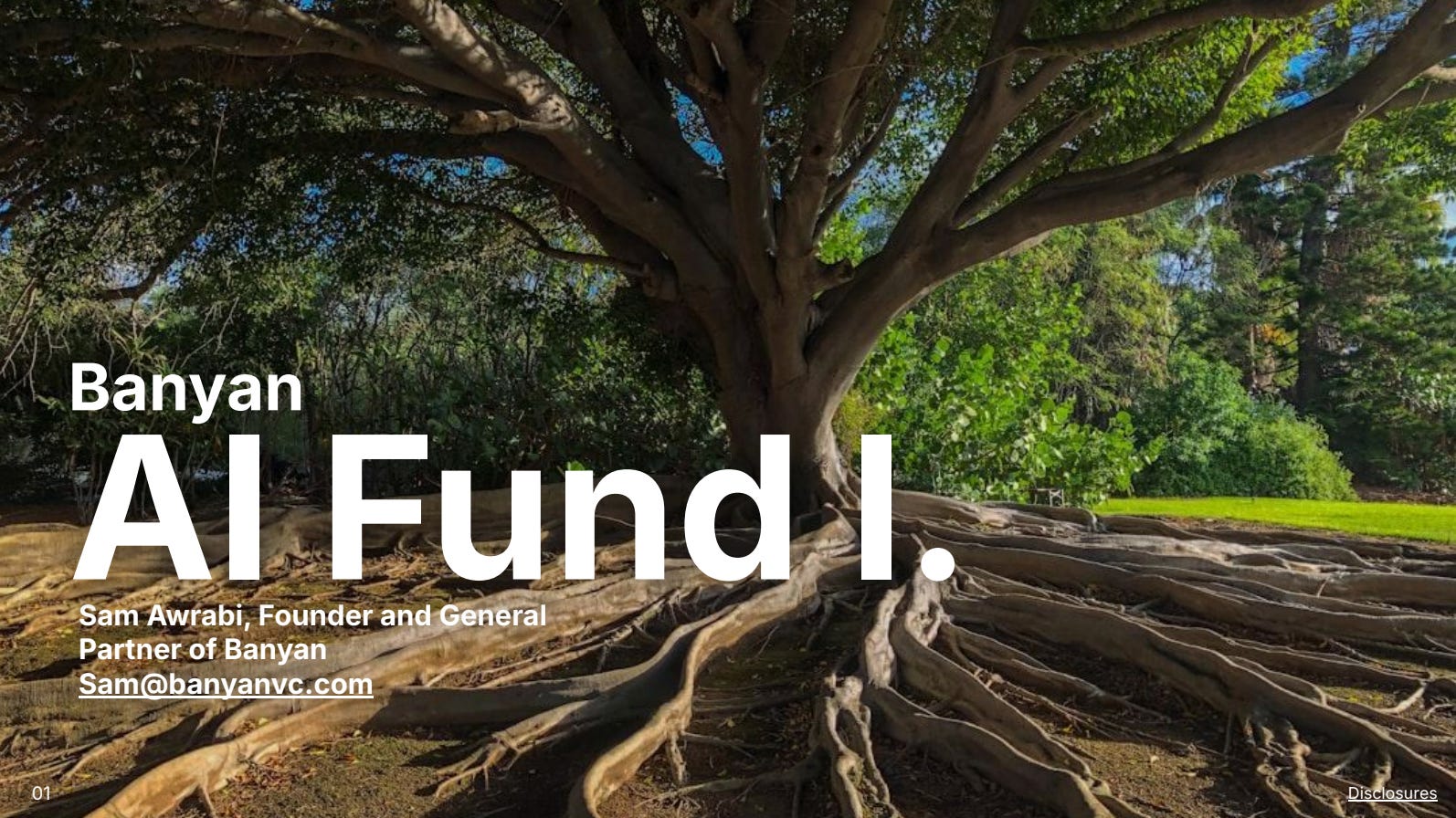 Banyan AI Fund 1. Sam Awrabi, Founder and General Partner of Banyan