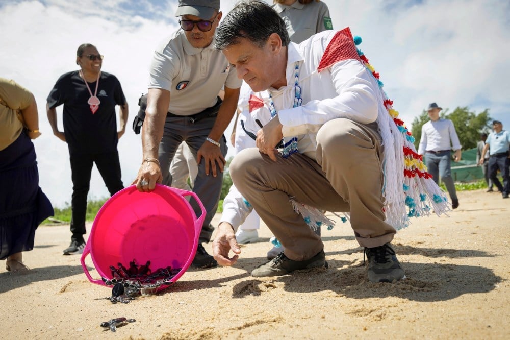 The World Is Making Progress on Conservation—Without the United States