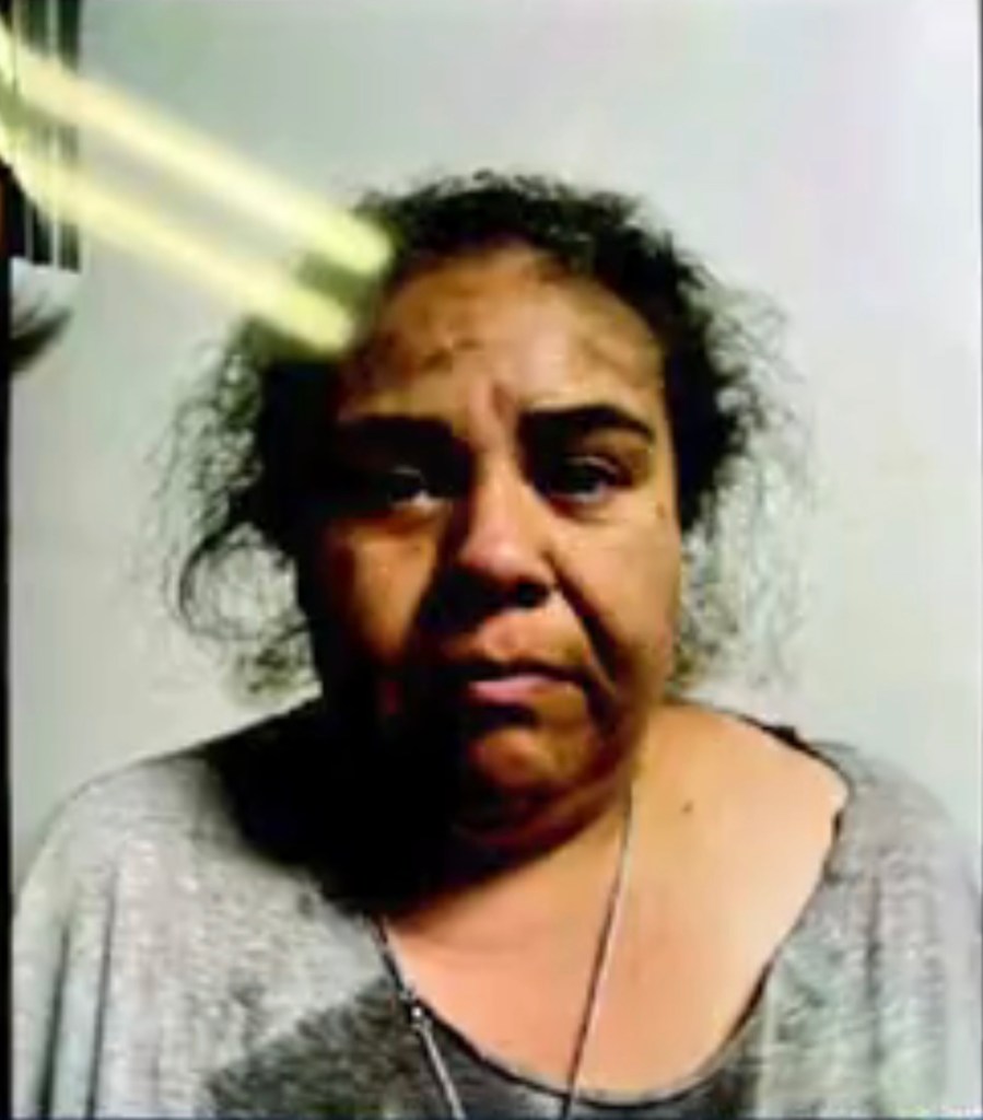 Yuriana Julia “Juli” Pelaez Calderon, 41, accusing her of orchestrating a fake kidnapping by federal immigration agents to generate sympathy and solicit donations.