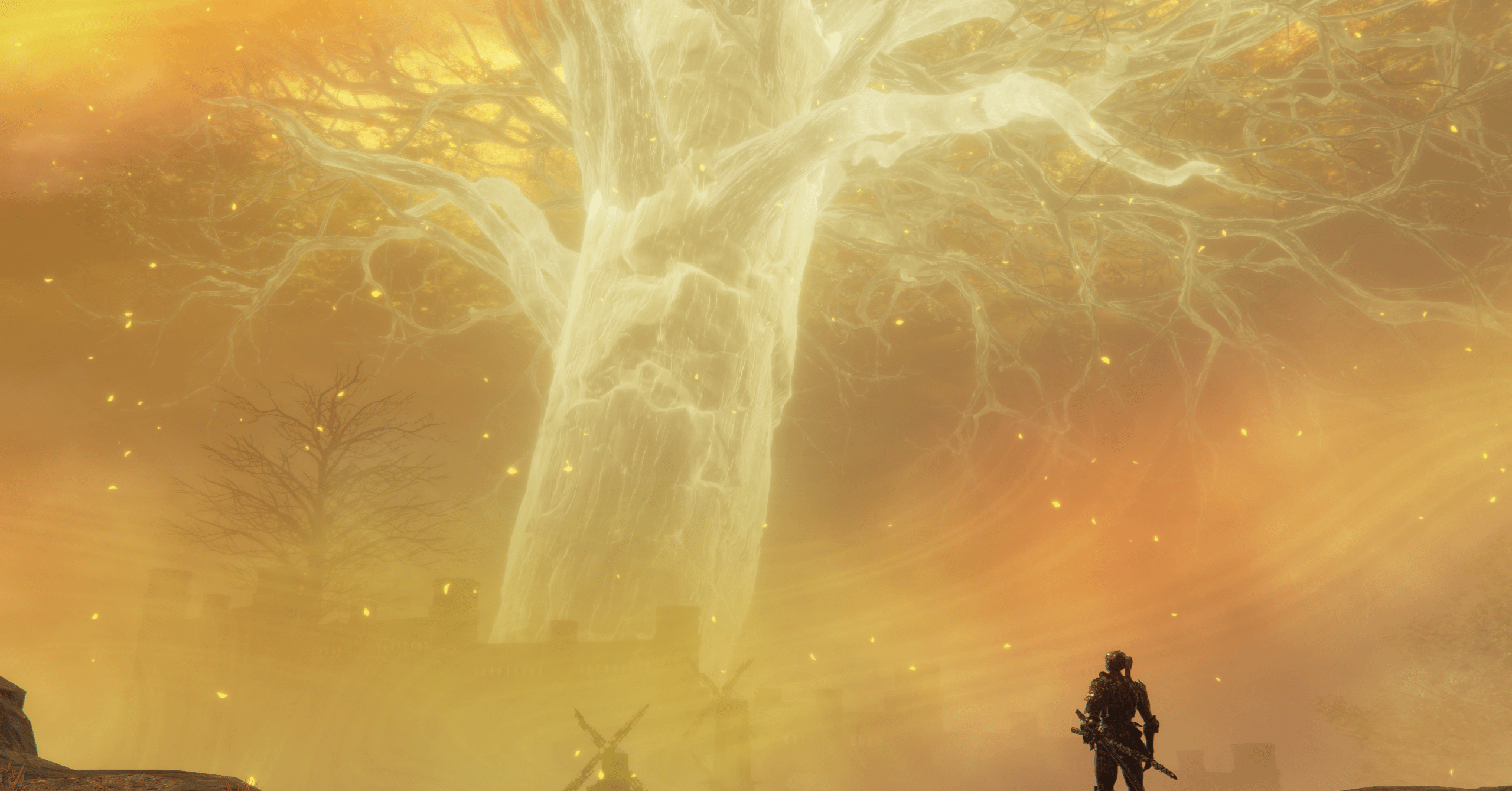 An Elden Ring Nightreign player stares at a big glowy tree