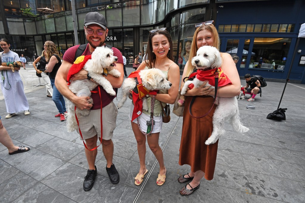 Three people holding small white dogs dressed in Superman costumes at a dog costume contest.