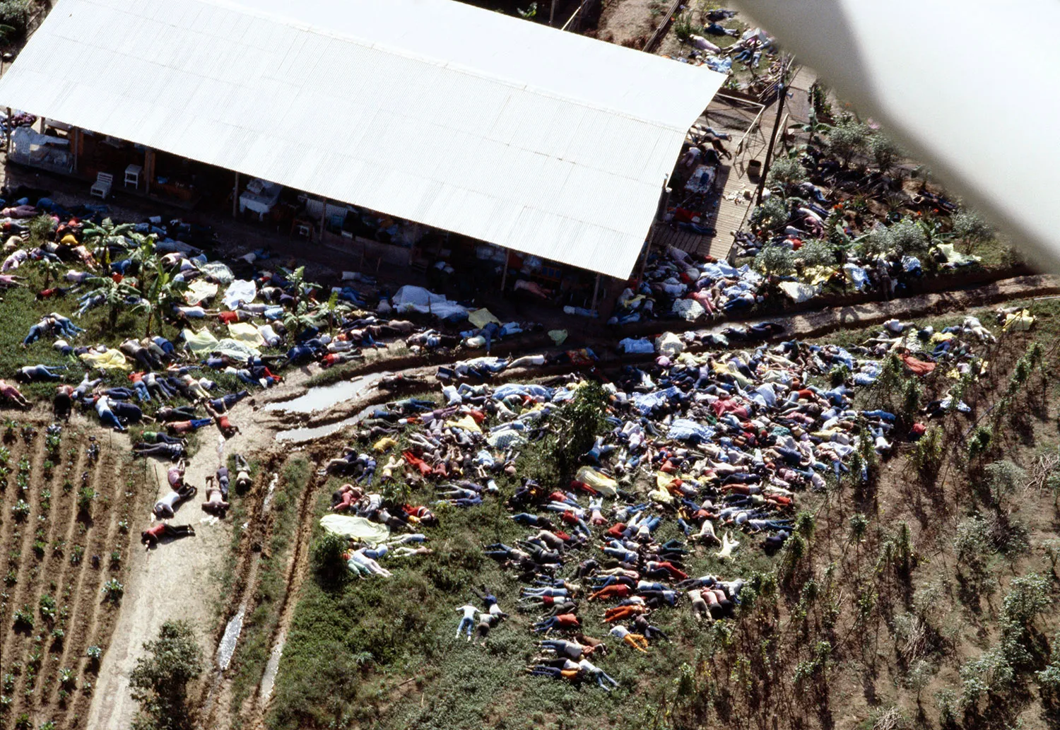 An aerial view shows hundreds of bodies tightly clustered together surrounding a flat-roofed building.