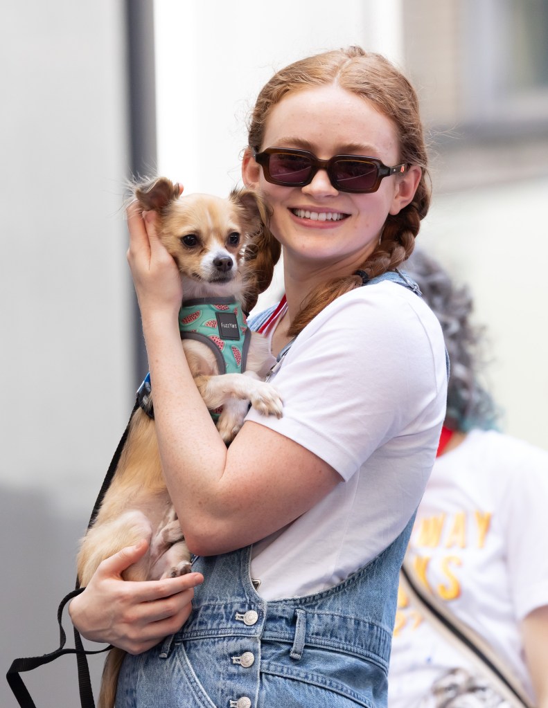 A pup gets a lift from Tony nominee Sadie Sink at a Broadway Barks adoption event in the Theater District.
