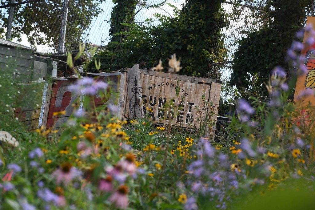 Sunset Garden sign partially obscured by flowers.