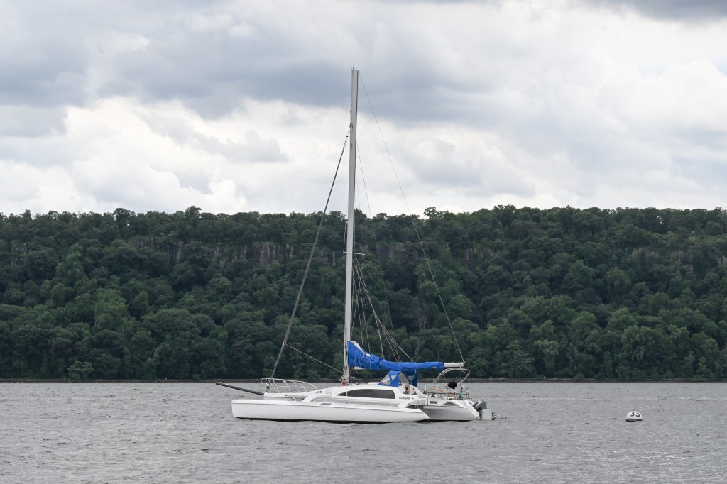 White catamaran on the water.