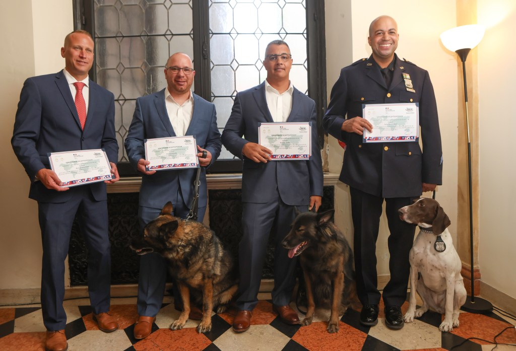 NYPD officers and their K9s receive awards at a ceremony.