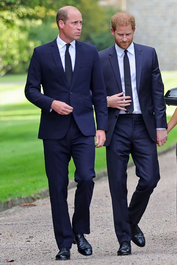 Prince William and Prince Harry walking.