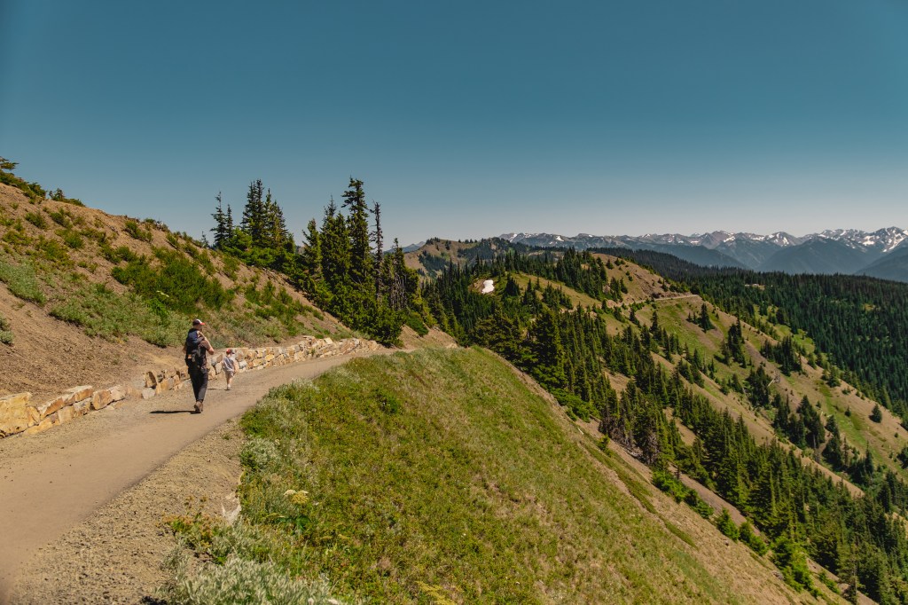 Olympic National Park.