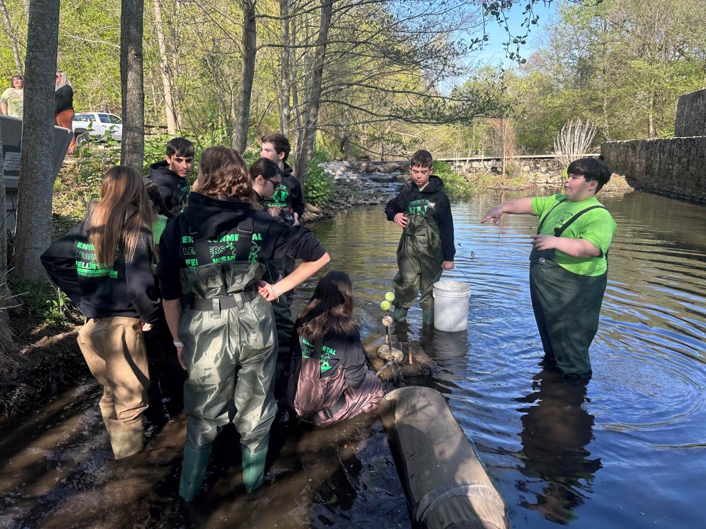 Students wade in the creek.