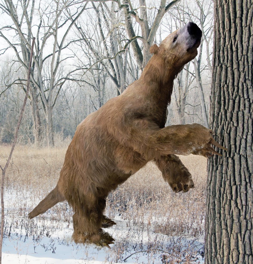 Illustration of a Megalonyx clawing at a tree in a snowy forest.