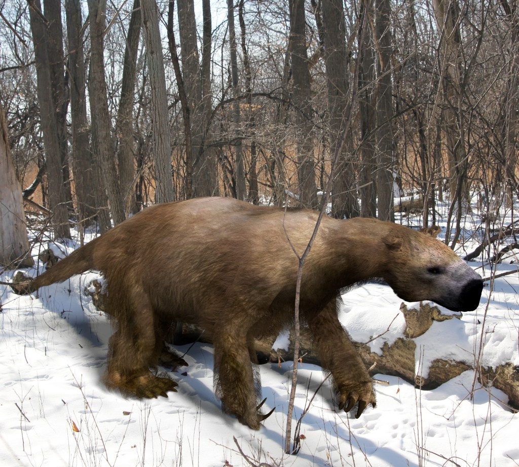 Illustration of a Megalonyx in a snowy Ice Age forest.