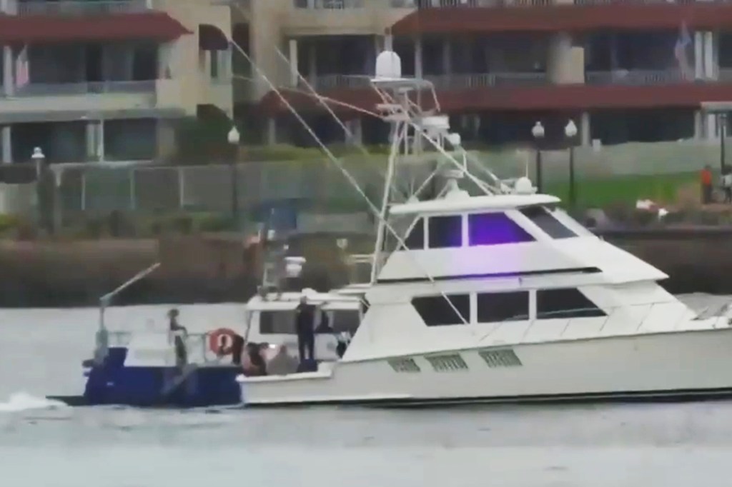 The captain was arrested for allegedly boating under the influence and fleeing the scene.