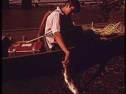 LOCAL EPA WORKER ON A FIELD TRIP POINTS OUT A DYING FISH AT THE INNER CITY VIADUCT AREA JOINING KANSAS CITY, KS, AND KANSAS CITY, MO