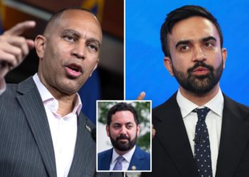 Top NY Dems ‘freaking out’ over ‘absolute insanity’ of Mamdani taking over NYC, Mike Lawler says