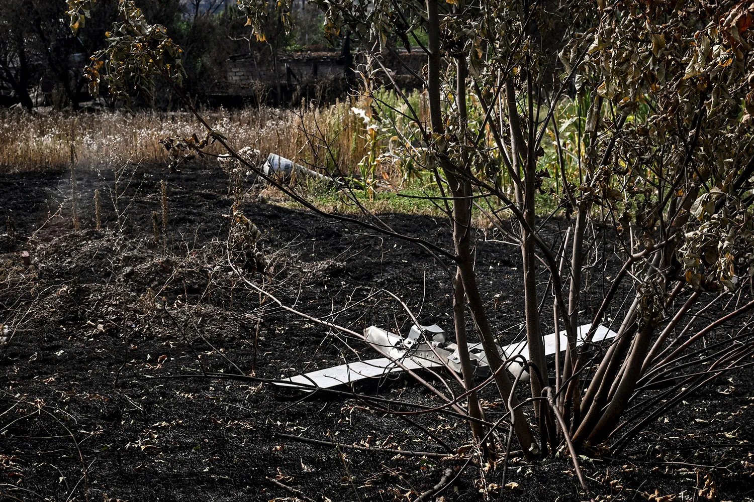 A drone rests on the muddy ground with a bare tree in front of it.