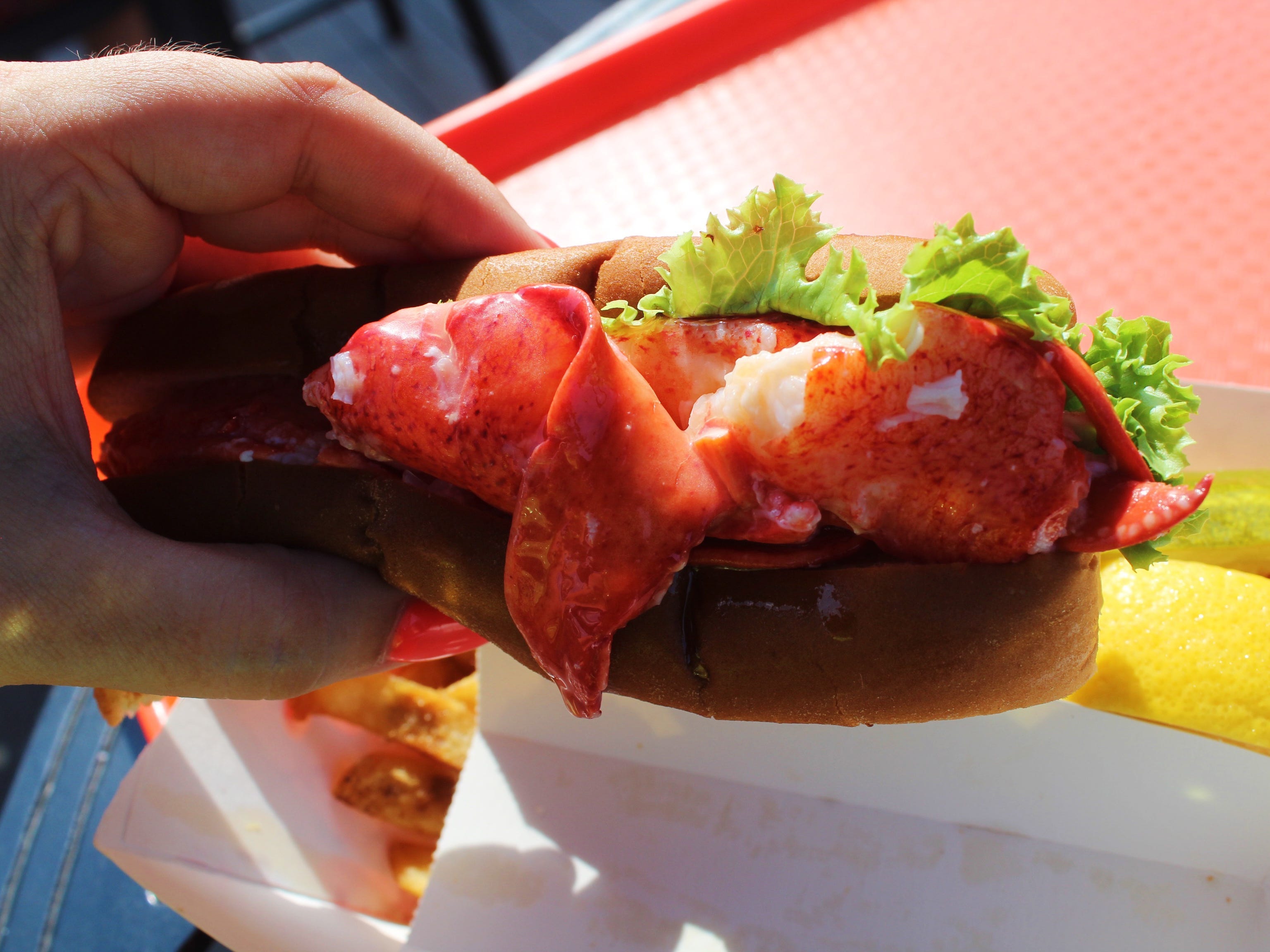 Portland Lobster Company lobster roll