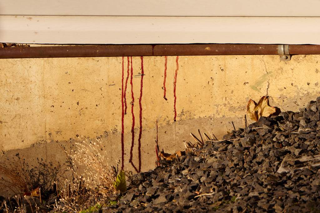 Blood stains on a concrete wall outside a home.
