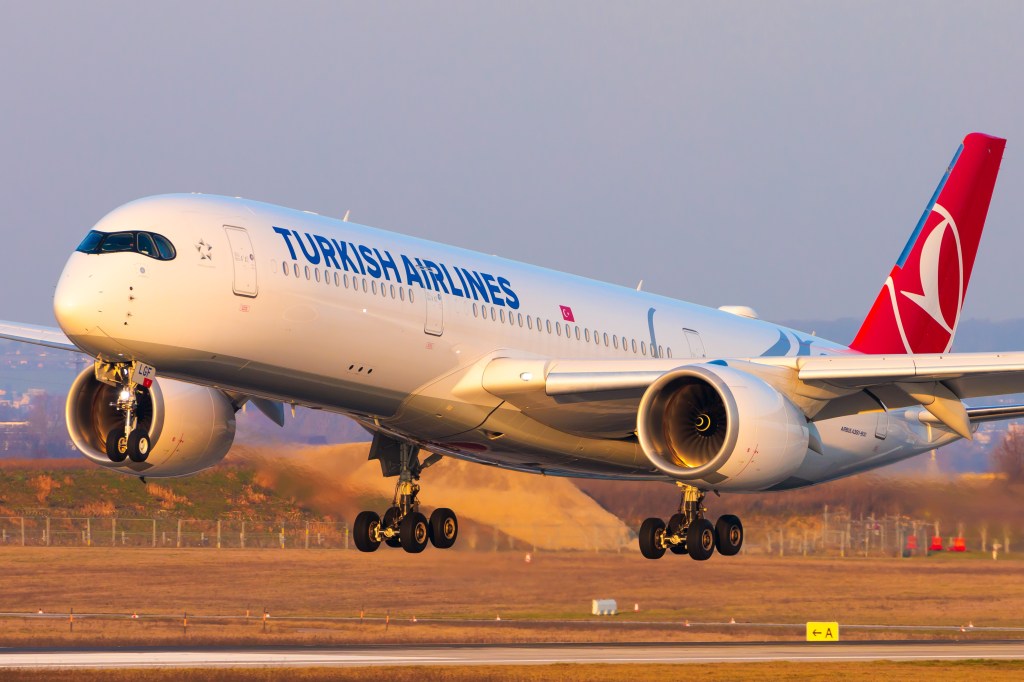 The corpse of a passenger who died during an international flight to San Francisco has allegedly gone missing.