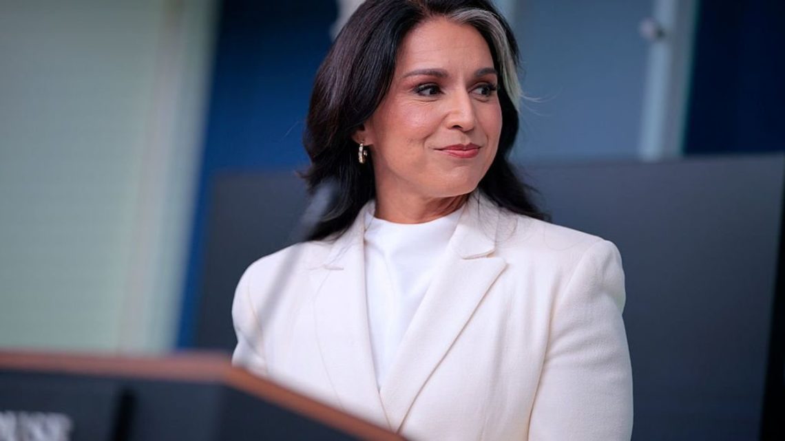 Over target: Panicked liberal media attacks Gabbard’s ‘treasonous conspiracy’ claim
