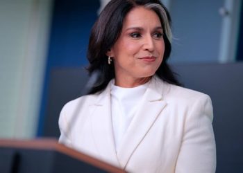 Over target: Panicked liberal media attacks Gabbard’s ‘treasonous conspiracy’ claim