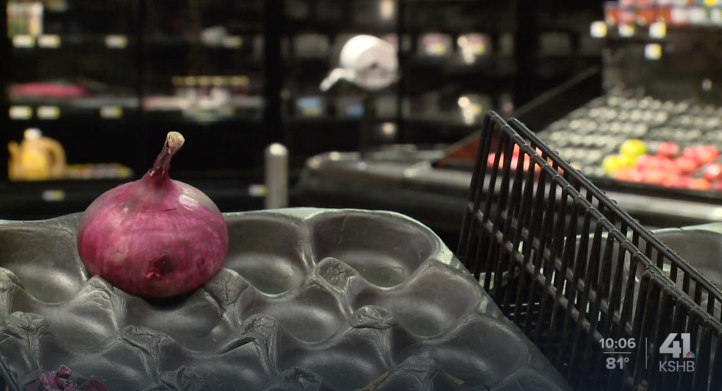 Red onion in a produce tray at a failing grocery store.