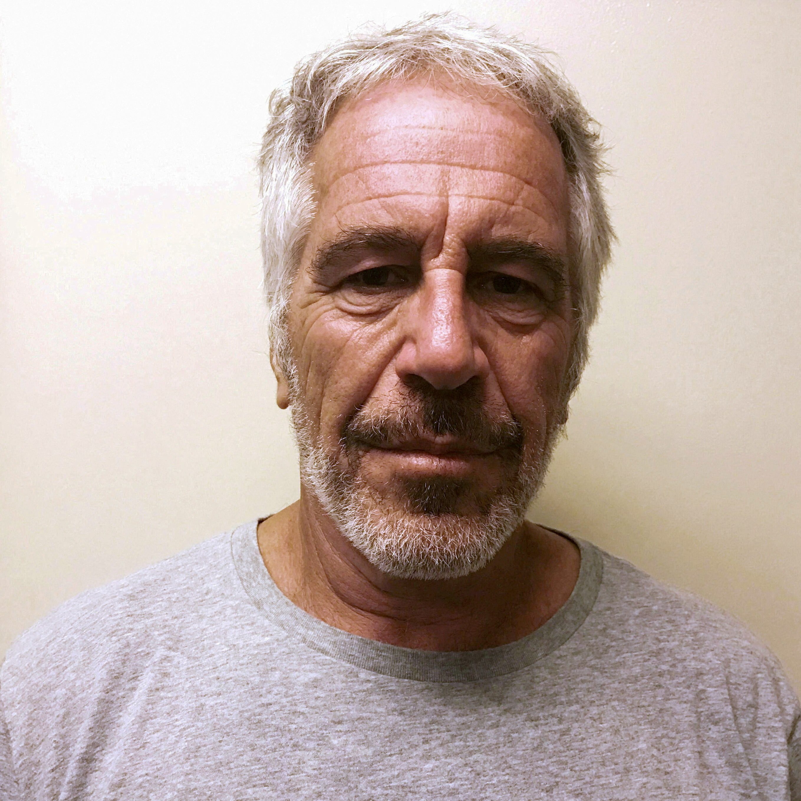 Mugshot of Jeffrey Epstein.