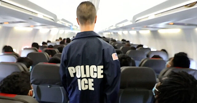 Acting ICE Head: We Place Detainer for ‘Any Crime’, Shoplifting Leads to ‘More Crime’