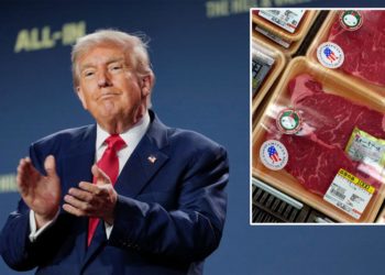 Trump touts end of ban on ‘magnificent’ US beef imports to Australia: ‘We are going to sell so much’