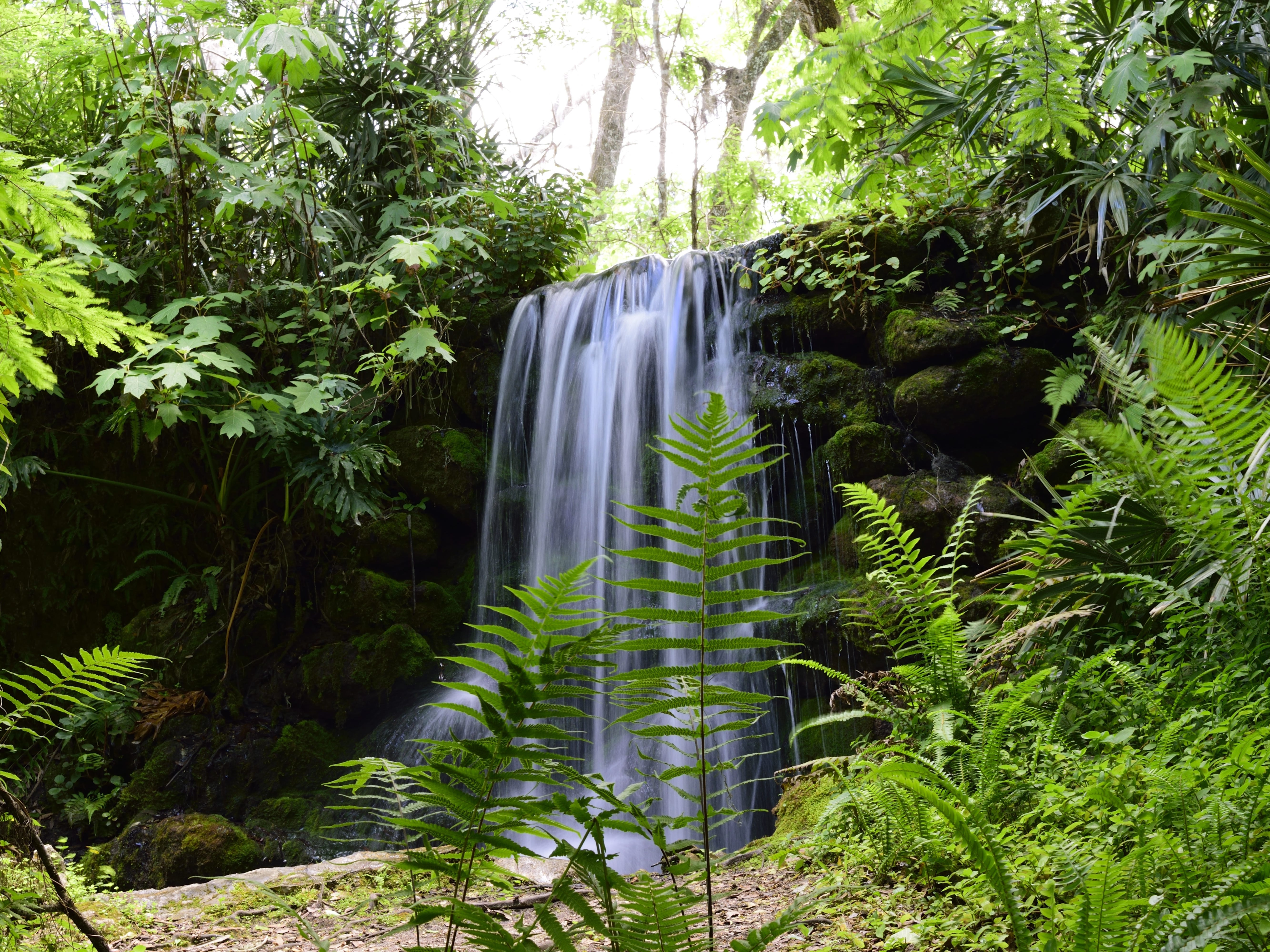 A small waterfall cascading over rocks, surrounded by lush green vegetation at Rainbow Springs State Park.